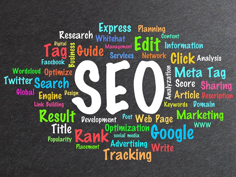 SEO Specialist in Houston